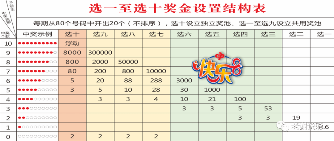 彩宝贝排5开奖号码，揭秘数字背后的奥秘与乐趣
