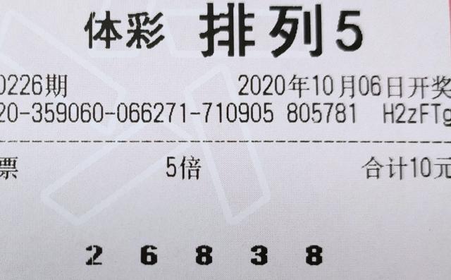 排了5开奖号码，一场数字与运气的奇妙碰撞