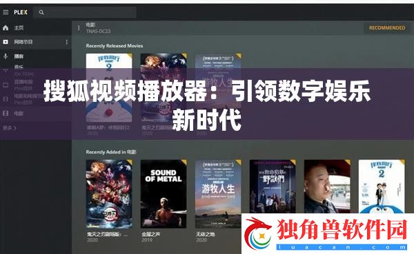 视频播放后缀，解锁数字时代的娱乐新体验