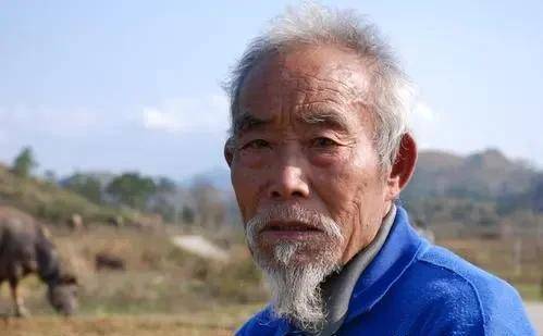 梦境解析，梦见死人复活—周公解梦的深度解读