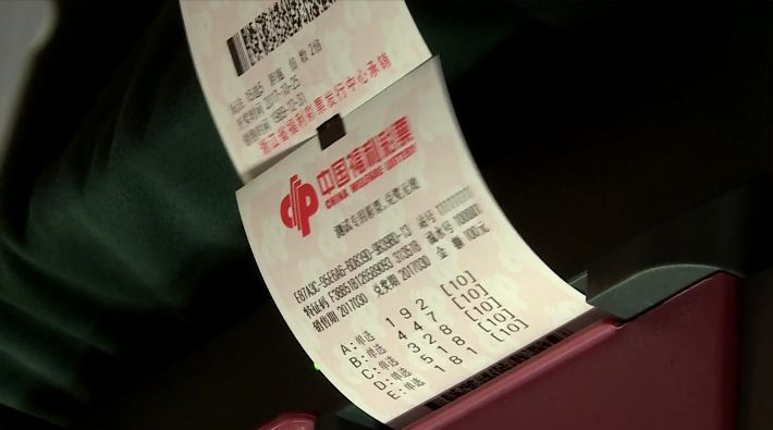 探索体彩排七，揭秘开奖结果背后的奥秘
