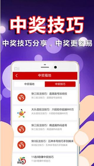 探索体彩5排3第241期开奖的奇妙之旅