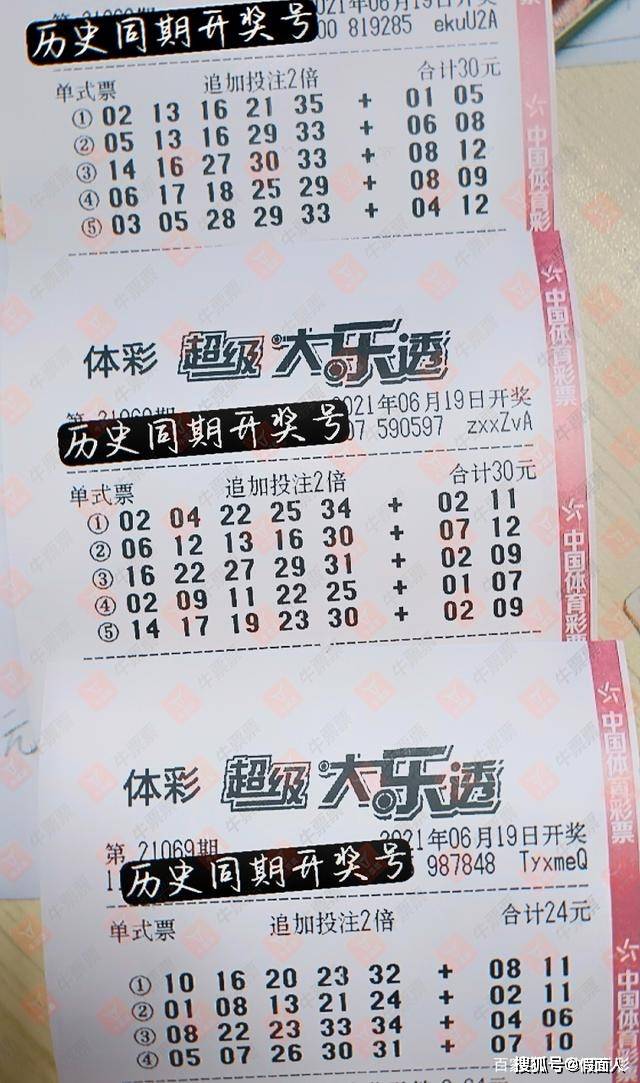 探秘体彩网大乐透，解锁开奖结果查询的奇妙之旅