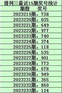 试机号与排三对应码，揭秘彩票背后的数字逻辑