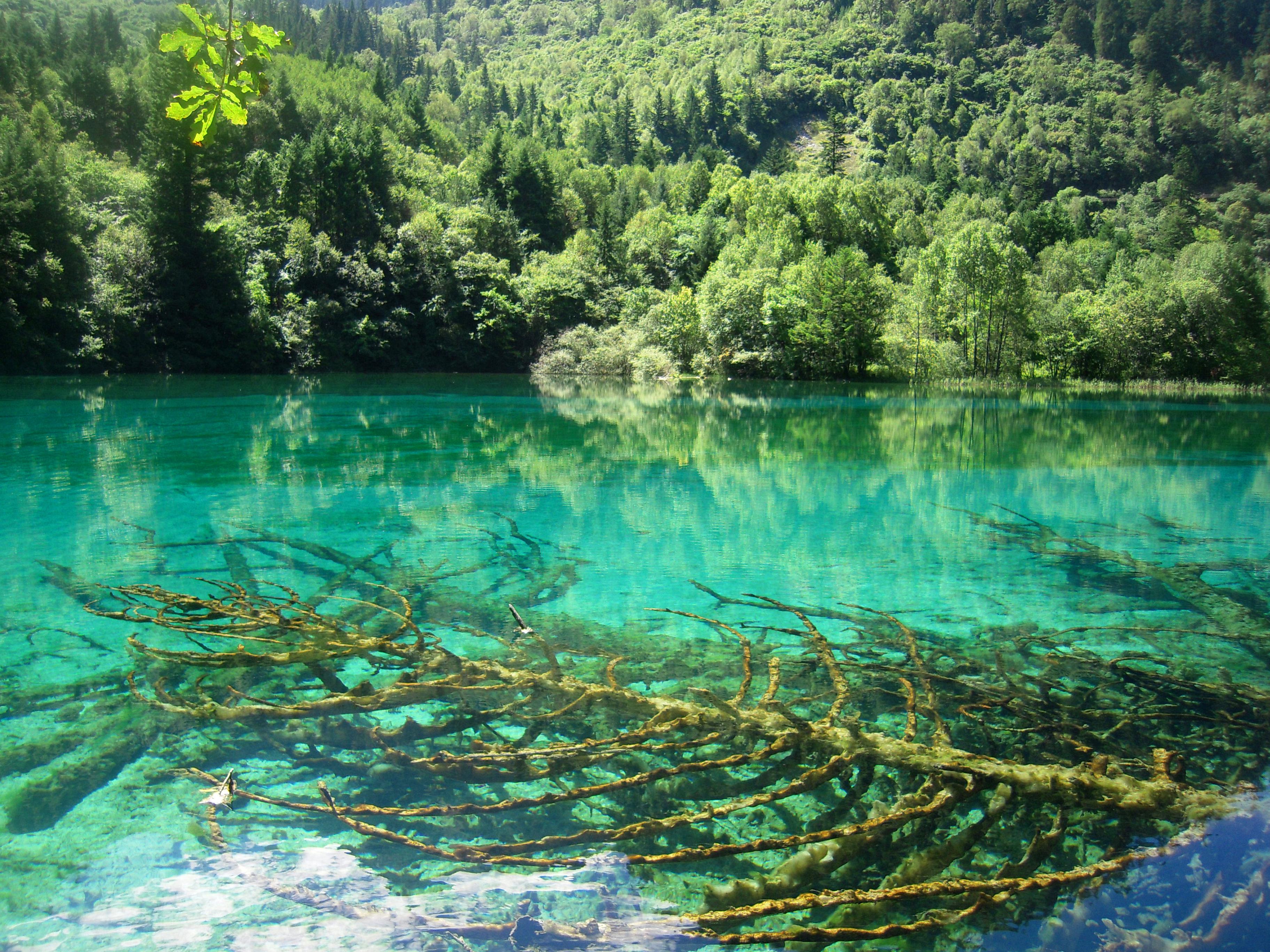 九寨沟，自然之美的瑰宝，探秘其归属之地