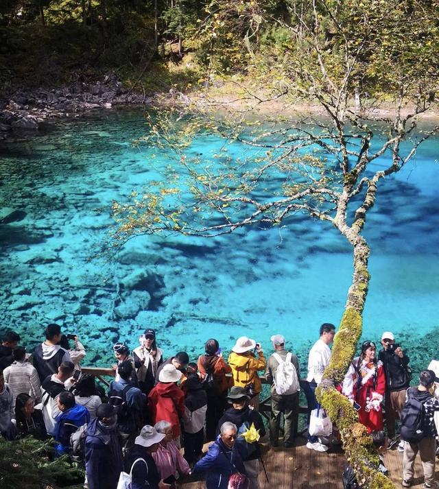 九寨沟国庆接待人数，旅游热潮与环境保护的双重挑战