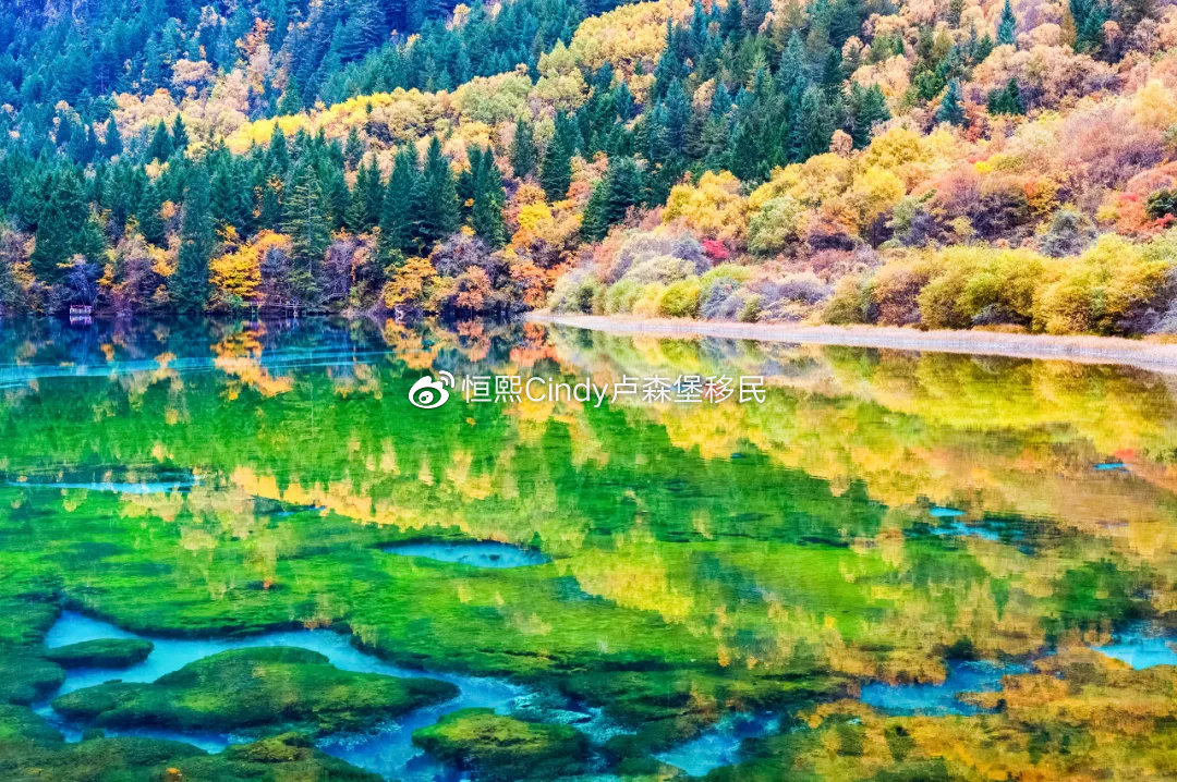 九寨沟，何时重现往日辉煌？