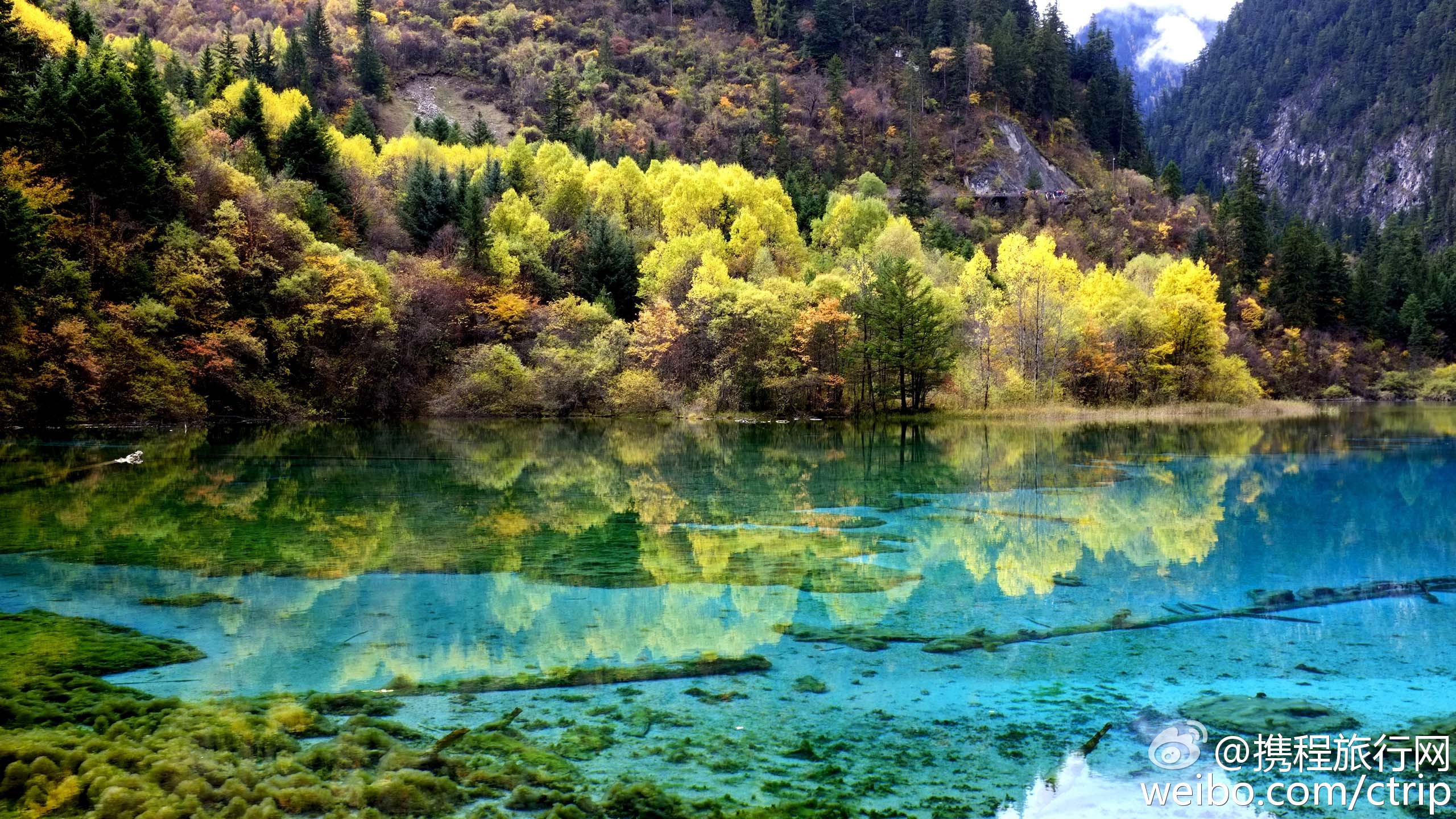 九寨沟