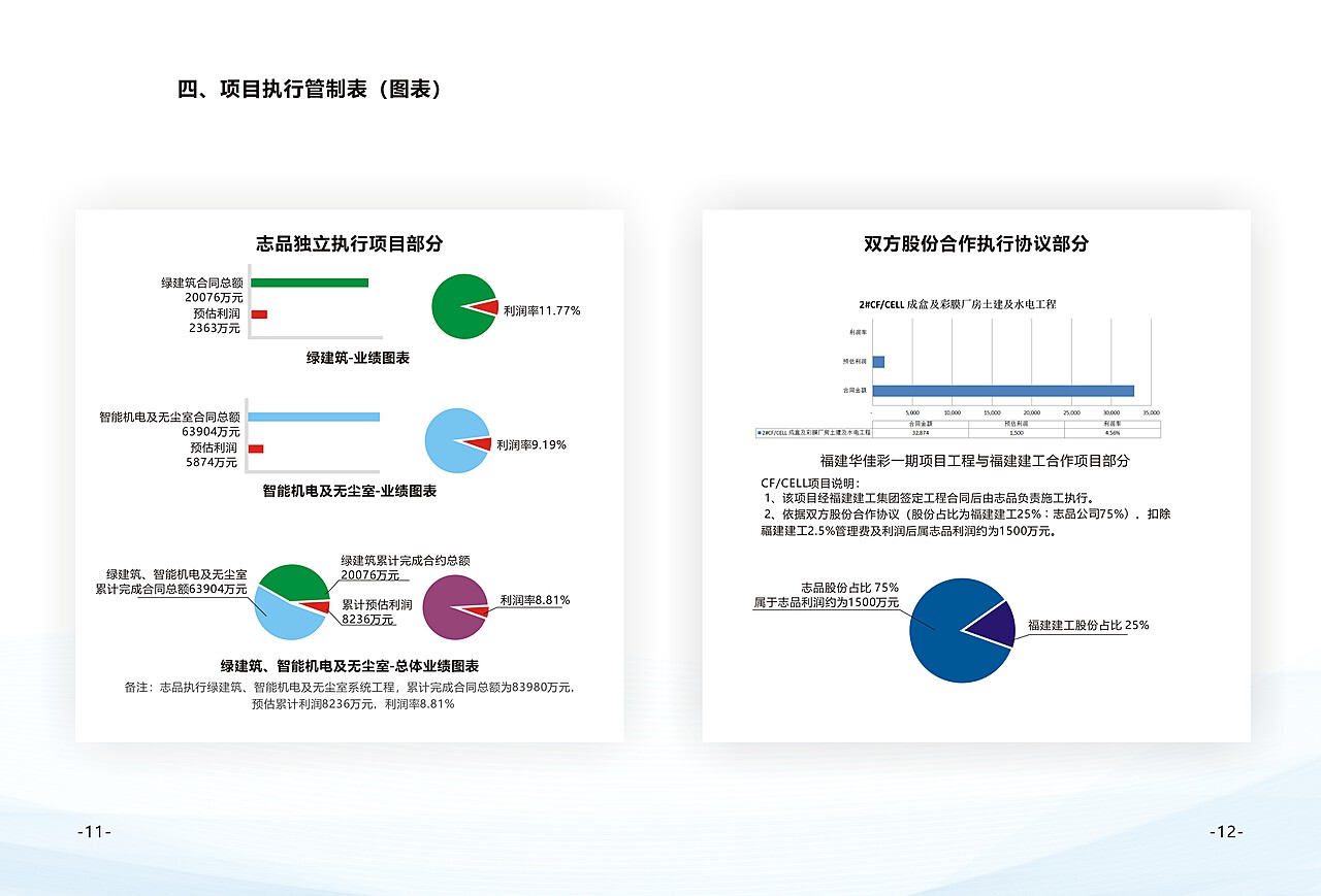 推进情况报告，以XX项目为例的进展与挑战