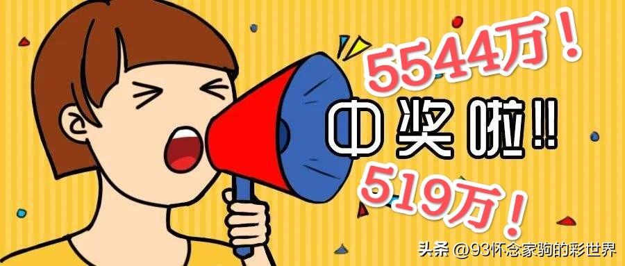 浙江快乐12，探索数字背后的走势与坐标连线的奥秘