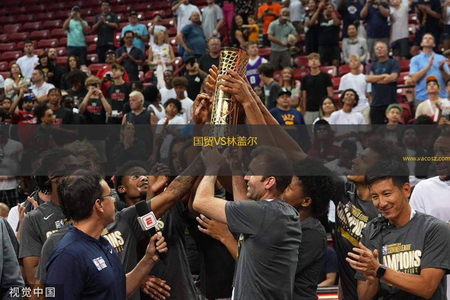 篮球迷的盛宴，NBA新浪体育平台的深度解析