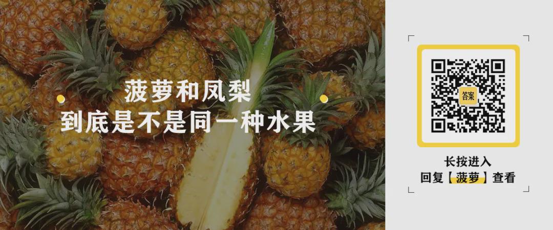 菠萝导航，探索互联网的甜蜜之旅