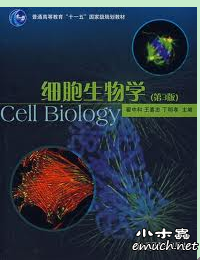 探秘双色瞳，遗传与生物学的奇妙交织