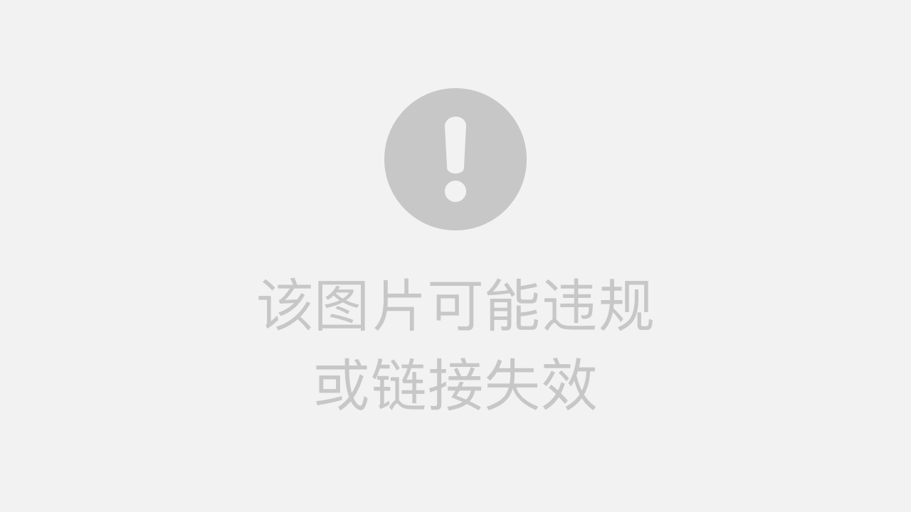网址输入格式详解，从基础到进阶的全面指南