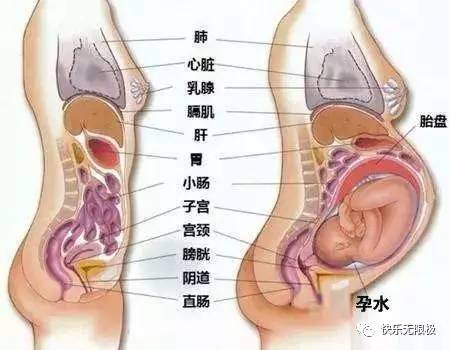 子宫直肠窝积液，成因、影响与应对策略