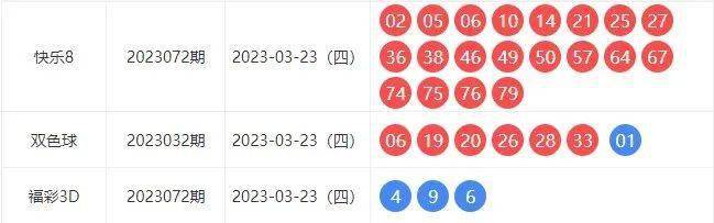 探索031奖号的奥秘，数字背后的故事与策略