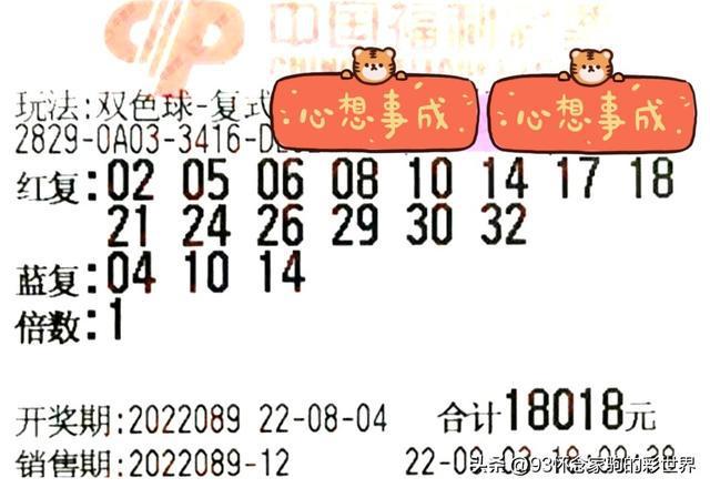204年双色球红球的神秘揭晓，一场数字与梦想的碰撞