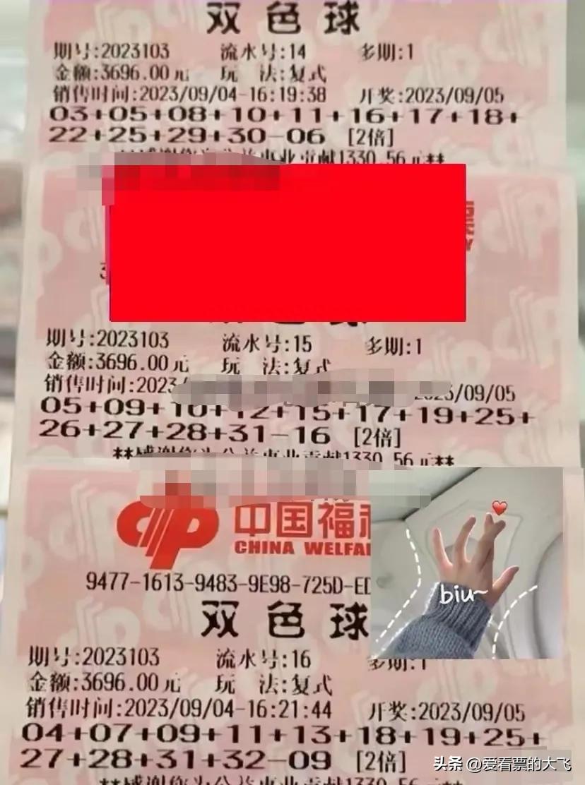 今日双色球最新复式晒票，揭秘彩民的幸运秘诀与策略