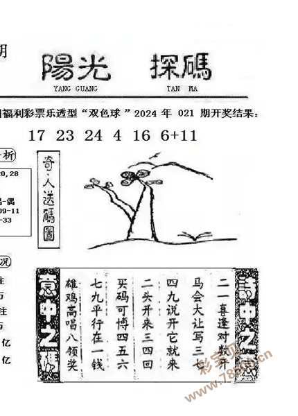 探索2034期双色球阳光探码图，揭秘数字背后的奥秘