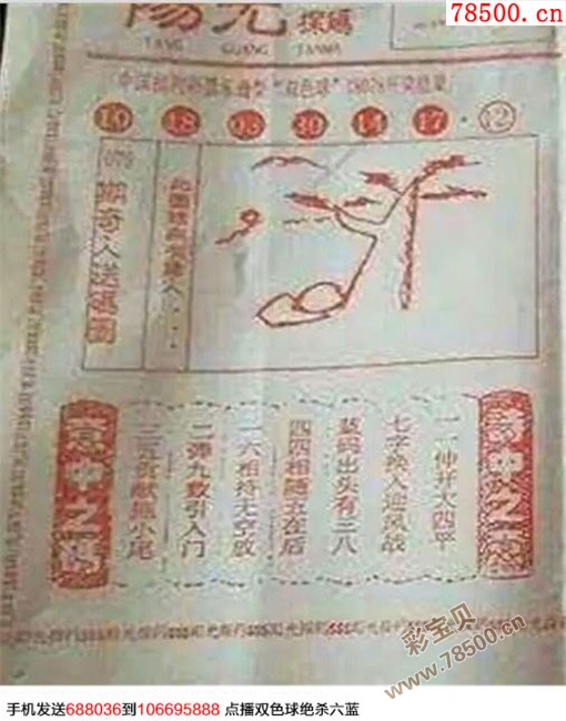 彩民乐章，阳光下的双色球探码图文版探索之旅