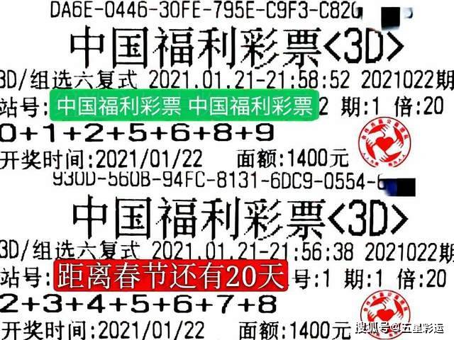 福彩3D网上投注站，便捷、安全与乐趣的完美结合