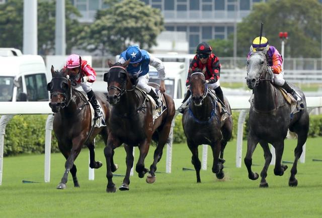 132689cc马会传真查询，揭秘香港赛马的精彩世界