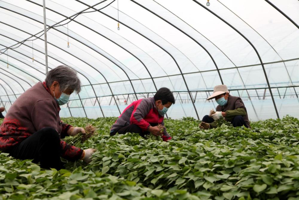 河北新闻最新消息，今日聚焦