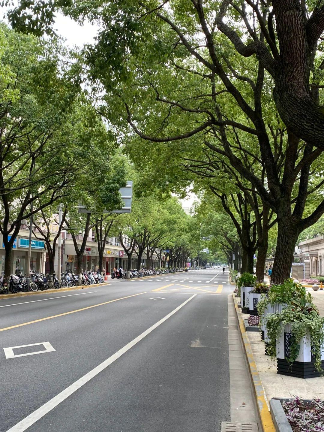 探索未来，2019年实景地图的最新进展与影响